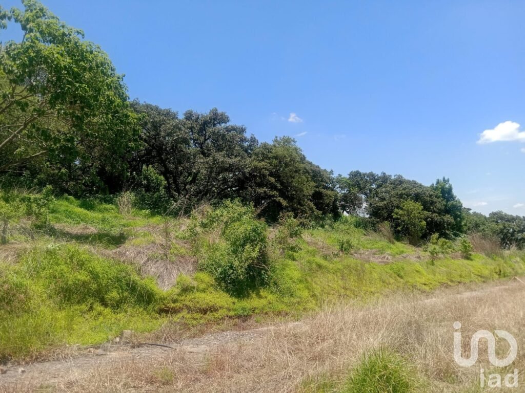 Terreno en venta Fraccionamiento Campestre en Los Cerritos, Tepatitlán, Jalisco