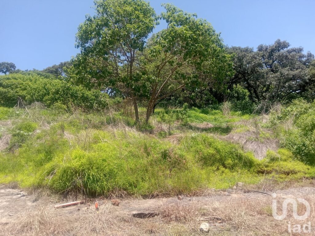 Terreno en venta Fraccionamiento Campestre en Los Cerritos, Tepatitlán, Jalisco