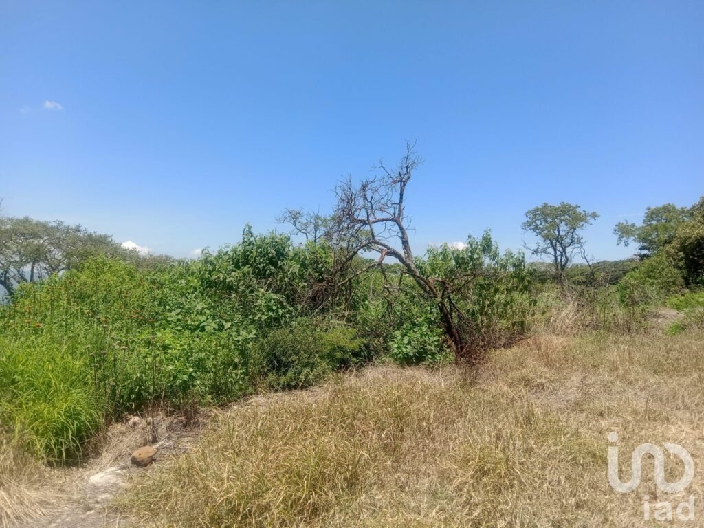 Terreno en venta Fraccionamiento Campestre en Los Cerritos, Tepatitlán, Jalisco