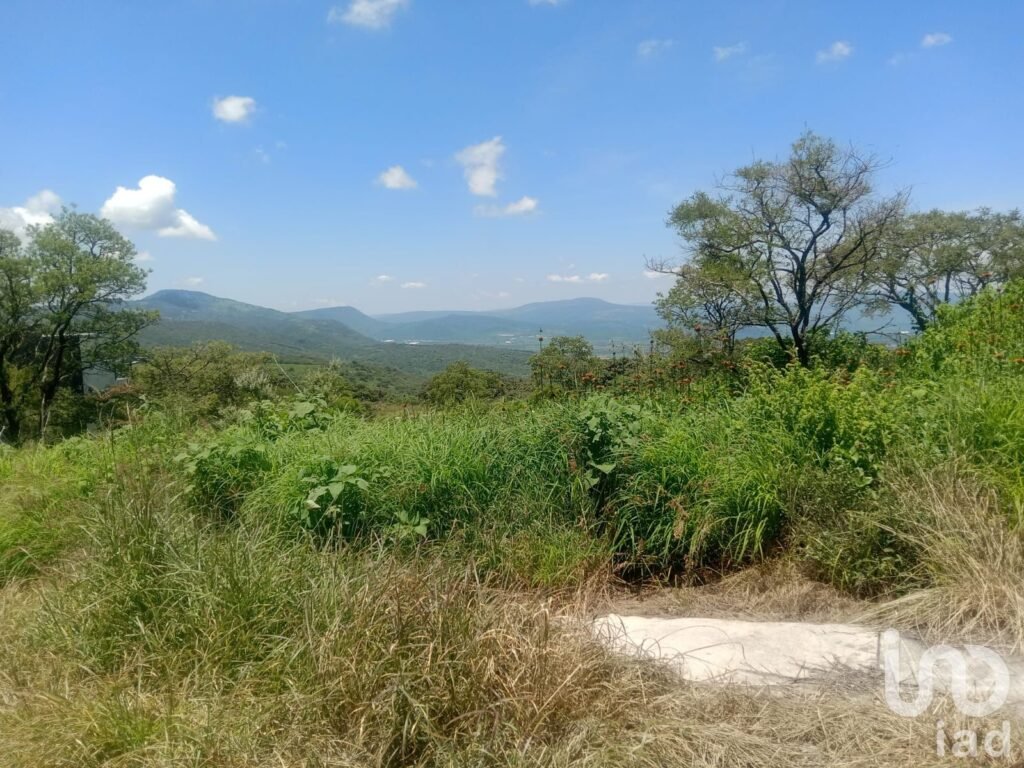 Terreno en venta Fraccionamiento Campestre en Los Cerritos, Tepatitlán, Jalisco