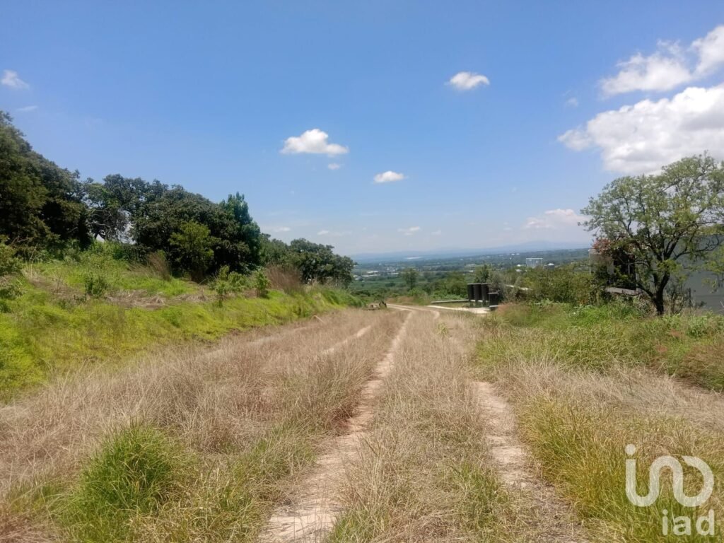 Terreno en venta Fraccionamiento Campestre en Los Cerritos, Tepatitlán, Jalisco