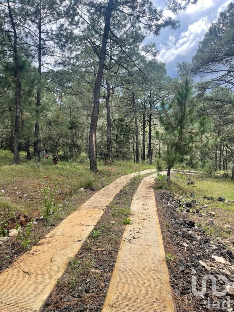 Terreno Campestre de 396 m² en Bosques de San José, Morelia – Con Cancha de Pádel y Amenidades