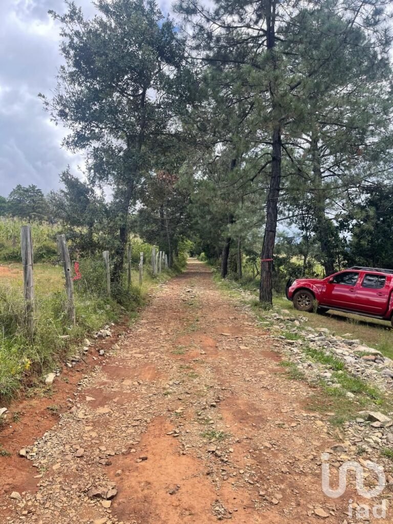Terreno Campestre de 396 m² en Bosques de San José, Morelia – Con Cancha de Pádel y Amenidades