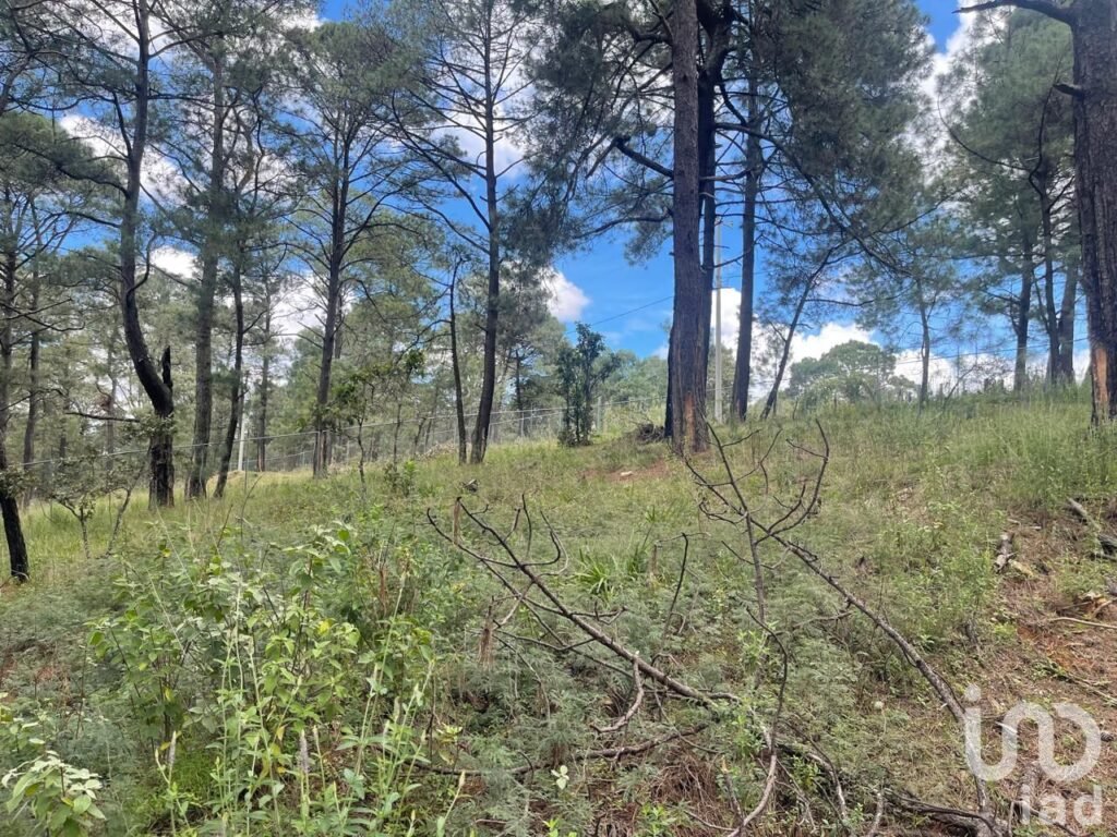 Terreno Campestre de 396 m² en Bosques de San José, Morelia – Con Cancha de Pádel y Amenidades