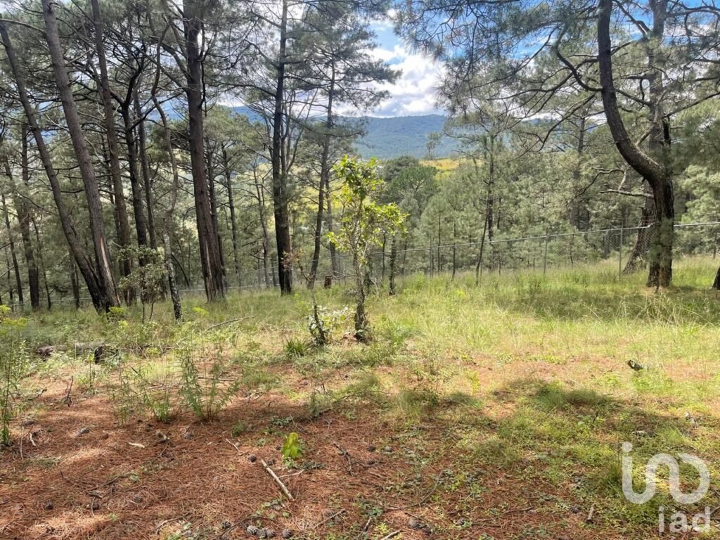 Terreno Campestre de 396 m² en Bosques de San José, Morelia – Con Cancha de Pádel y Amenidades