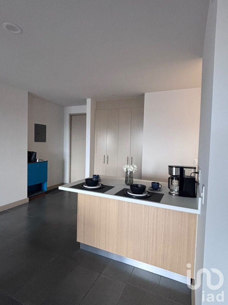 Departamento en renta de 1 Recamara en Polanco / Vitant   by B Grand
