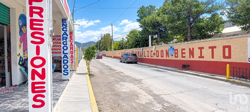 TERRENO TEPENENE, EL ARENAL HGO
