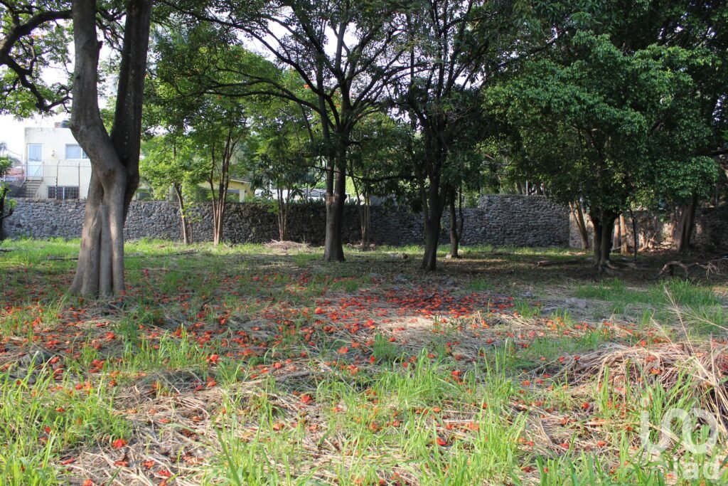Venta de Terreno en Palmira