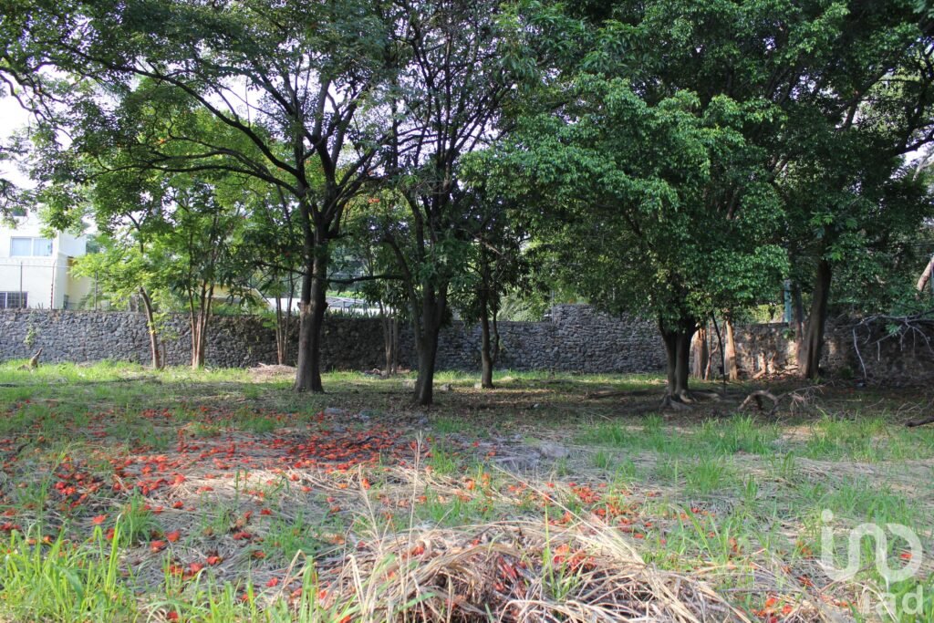 Venta de Terreno en Palmira