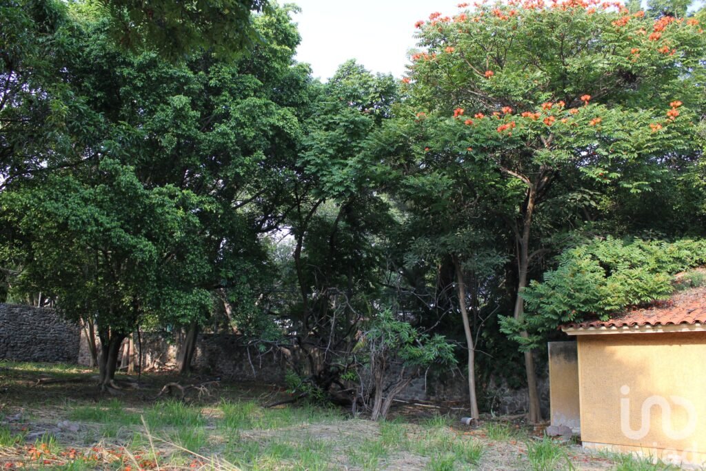 Venta de Terreno en Palmira