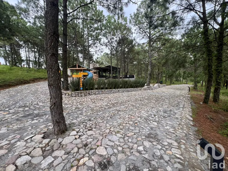 Terrenos en venta en Tapalpa – Cuenca Luna