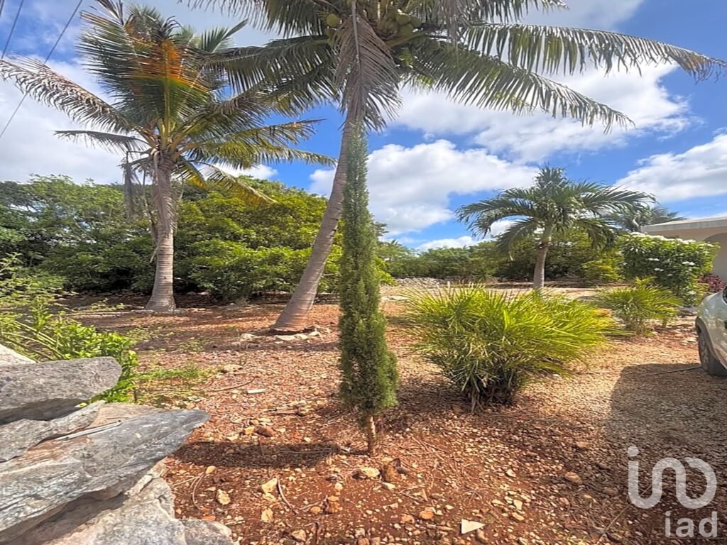 Terreno Habitacional en Telchac Pueblo, Yucatán, a 15 min. de la Playa