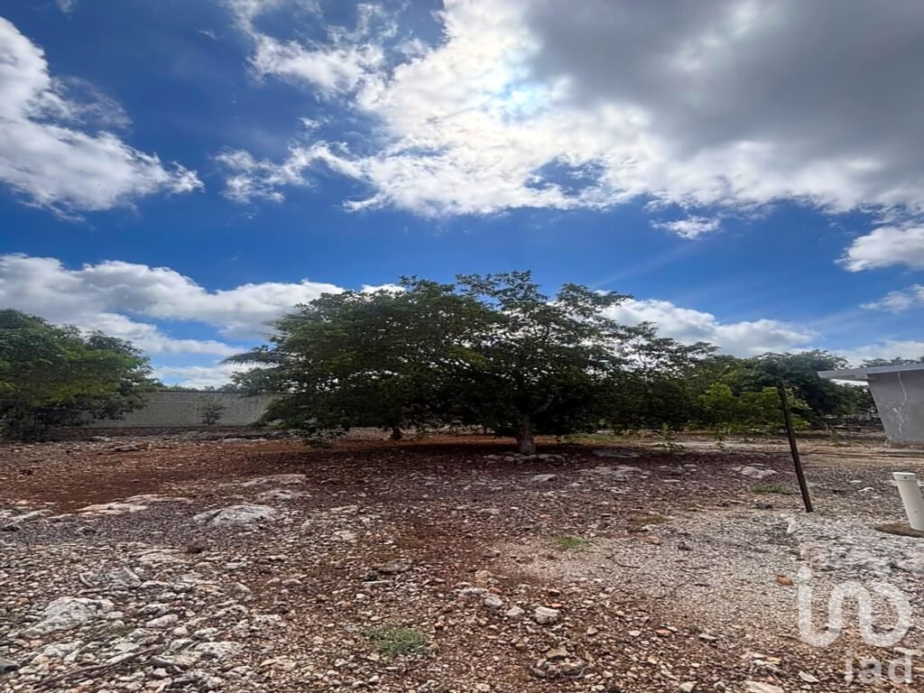 Terreno Habitacional en Telchac Pueblo, Yucatán, a 15 min. de la Playa