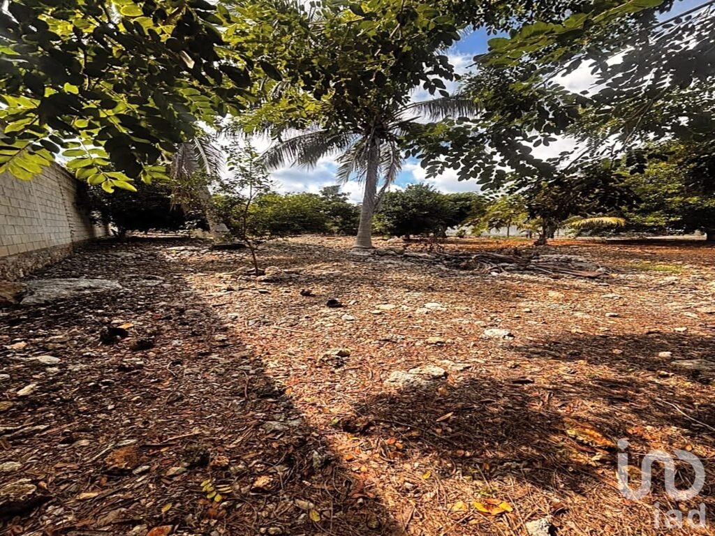 Terreno Habitacional en Telchac Pueblo, Yucatán, a 15 min. de la Playa