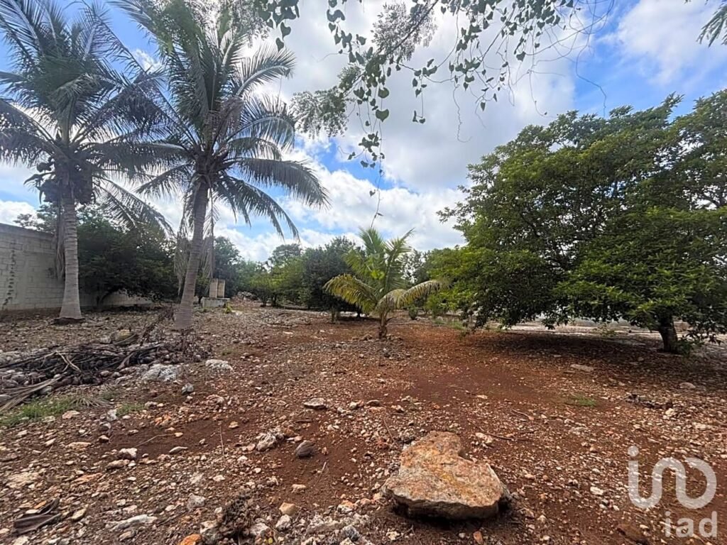 Terreno Habitacional en Telchac Pueblo, Yucatán, a 15 min. de la Playa