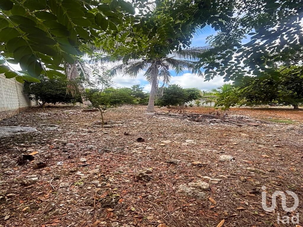 Terreno Habitacional en Telchac Pueblo, Yucatán, a 15 min. de la Playa