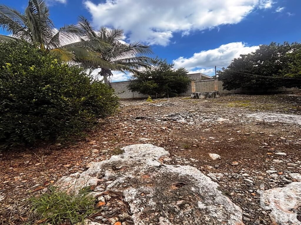 Terreno Habitacional en Telchac Pueblo, Yucatán, a 15 min. de la Playa